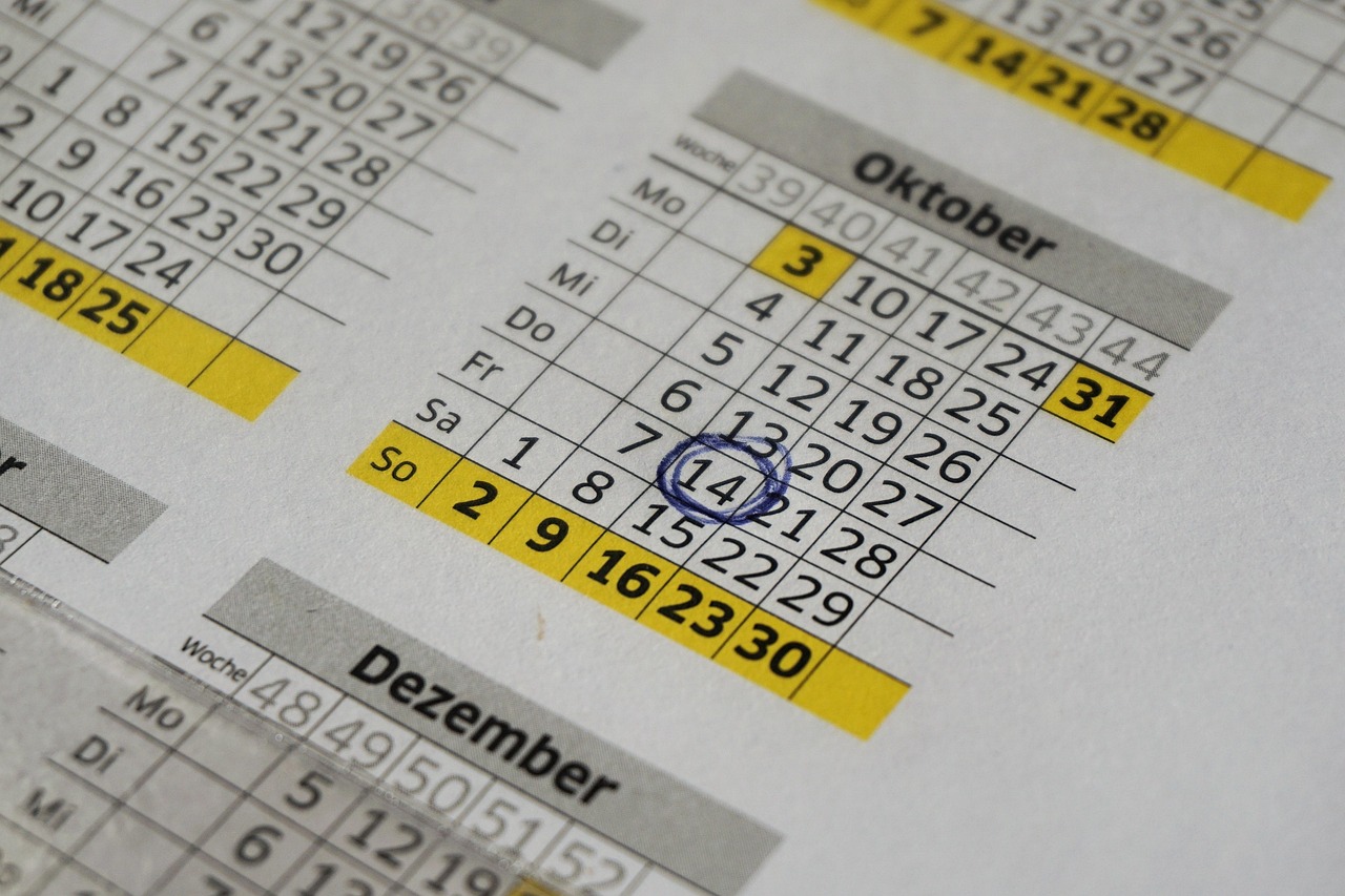 HR manager reviewing PEO contract renewal terms and deadline calendar